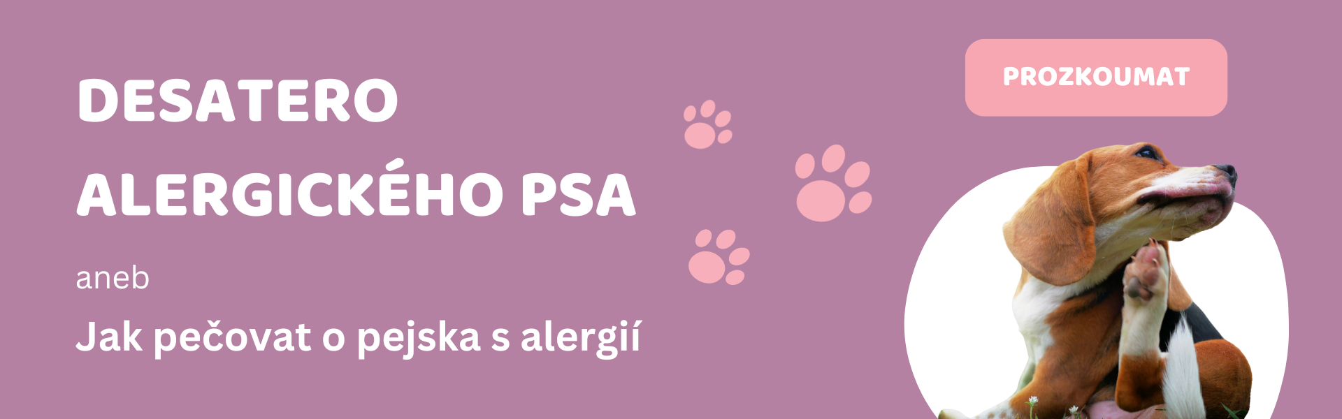 desatero alergického psa